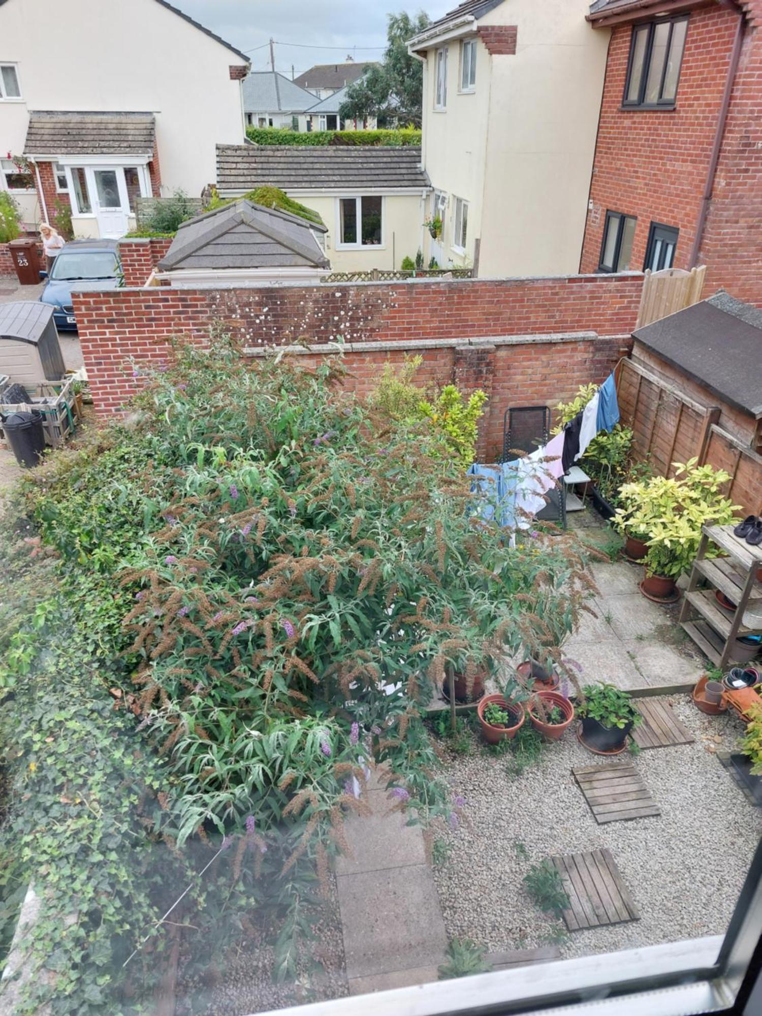 Bude Homestay Stratton  외부 사진