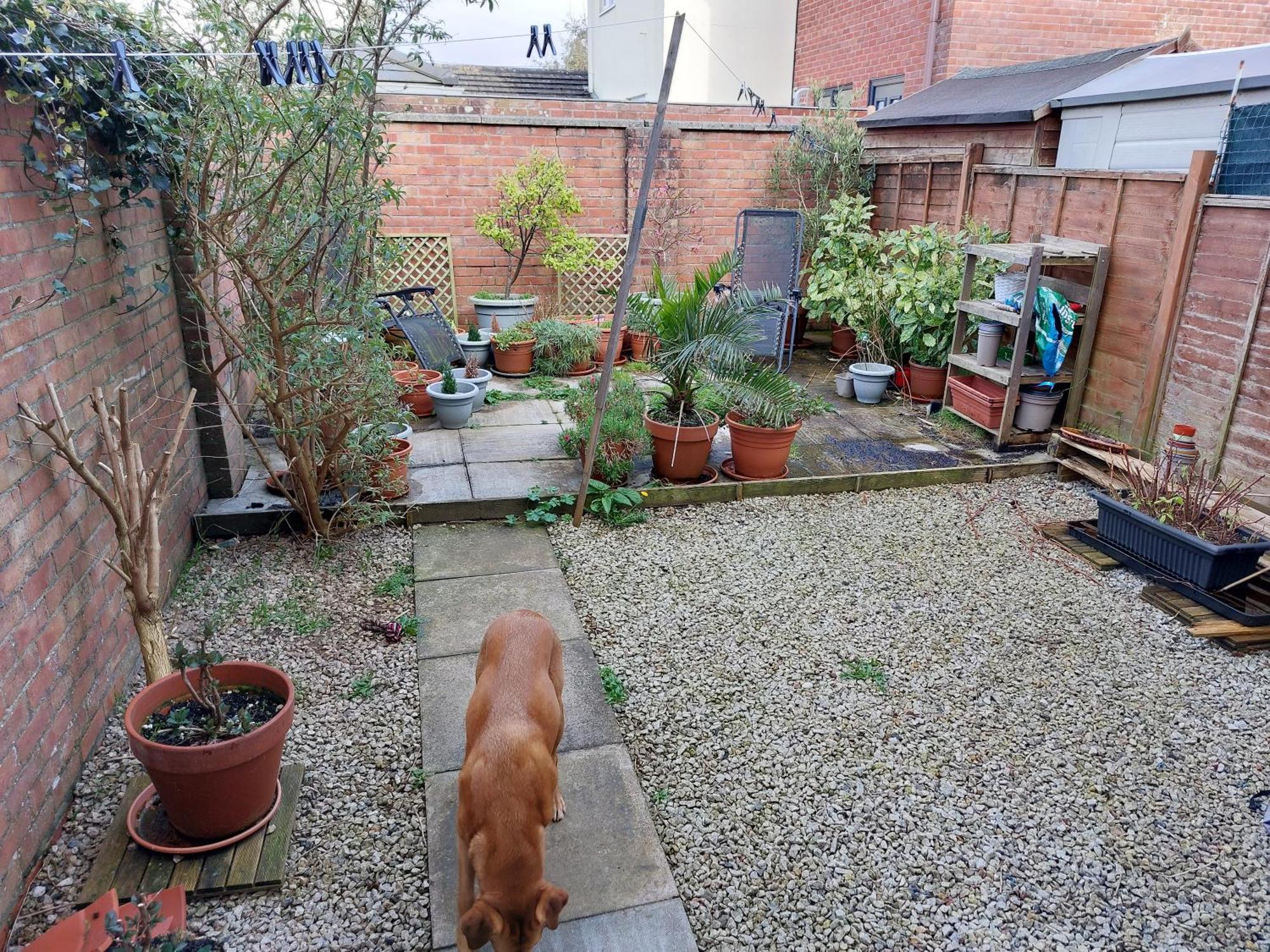 Bude Homestay Stratton  외부 사진